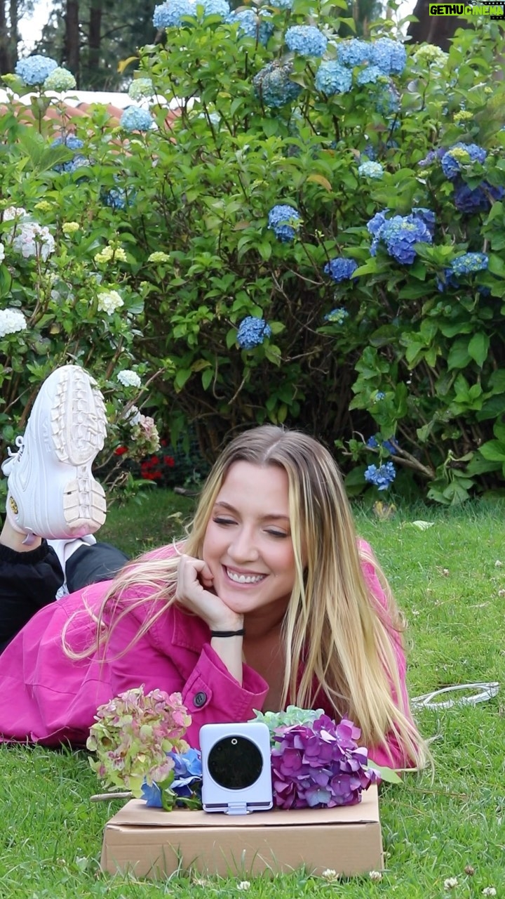 Valentina de Abreu Instagram - Photo ideas con flores πΈπ Usando mi TECNO PHANTOM V FLIP 5G π± estoy obsesionada π€© #Tecno #PhantomBeGlamorous #TecnoPhantomVFlip5G #tecnomobileecuador #valentinadeabreu #fotos #cuenca #flowers