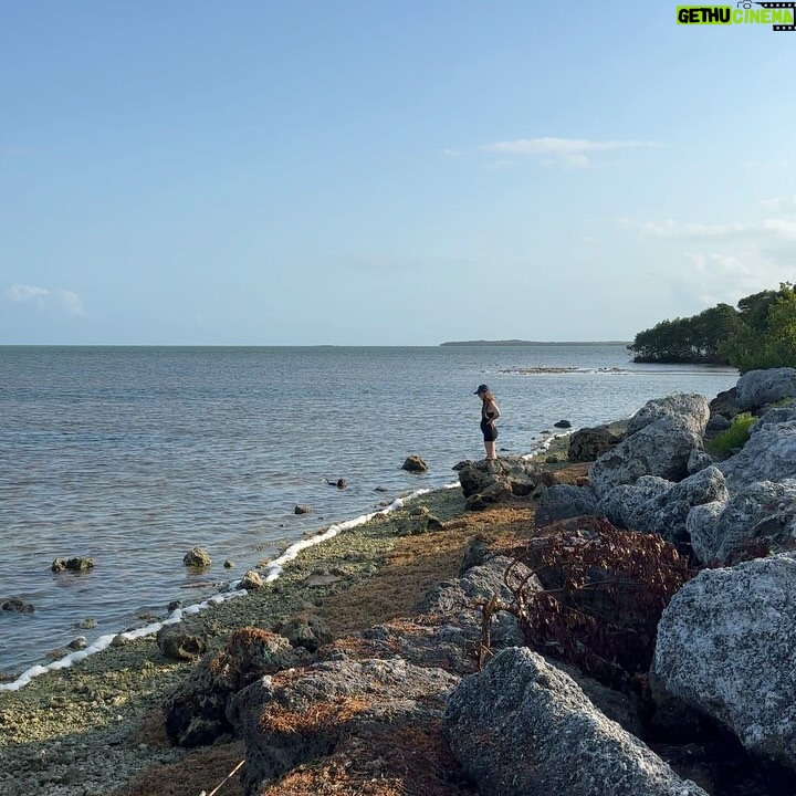 Valentine Thomas - 4.1K Likes - Florida tour 🌴. My baby girl got to catch a few fish with me all over Florida! Did not foresee how hard it would be to squeeze in into my 5mm 😂 My last time diving, I was about ready to cut it open. Bring on the 1mm weather, we’re ready for our girls summer 😁🥰🤰Oh yeah @danielf86 was there too 😂