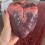 Valentine Thomas Instagram - Eat your heart out ❤️‍🔥 Not fish related but I got too many questions on how to prep heart not to post this! Marinated and thrown on the grill (or pan fried) is my way to go. When I lived in the UK, I could find hearts, kidneys and other offals pretty easily, but in the US, it’s not that easy (and insanely expensive 😭). Yet, it is the OG of superfood so it’s worth adding to your menu once in a while! Or a good idea to make friends with hunting people 😜 #heart #offals #superfood