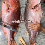 Valentine Thomas Instagram – Whole or fillet? 👀 #americansnapper #fish #cooking #cookingfish #pescatarian