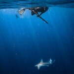 Valentine Thomas Instagram – What’s up Bruce? 🦈 

📷 @j.kowitz