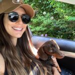 Valentine Thomas Instagram – A beast yet a mama’s boy 🥰 Frogs, chipmunks, mouse, squirrels, snakes, birds, if it’s moving he’s going after it 😅 Sausage gotta pay rent ha! No animal were harmed in the making of these videos 😂 @teddythetravellingsausage @danielf86