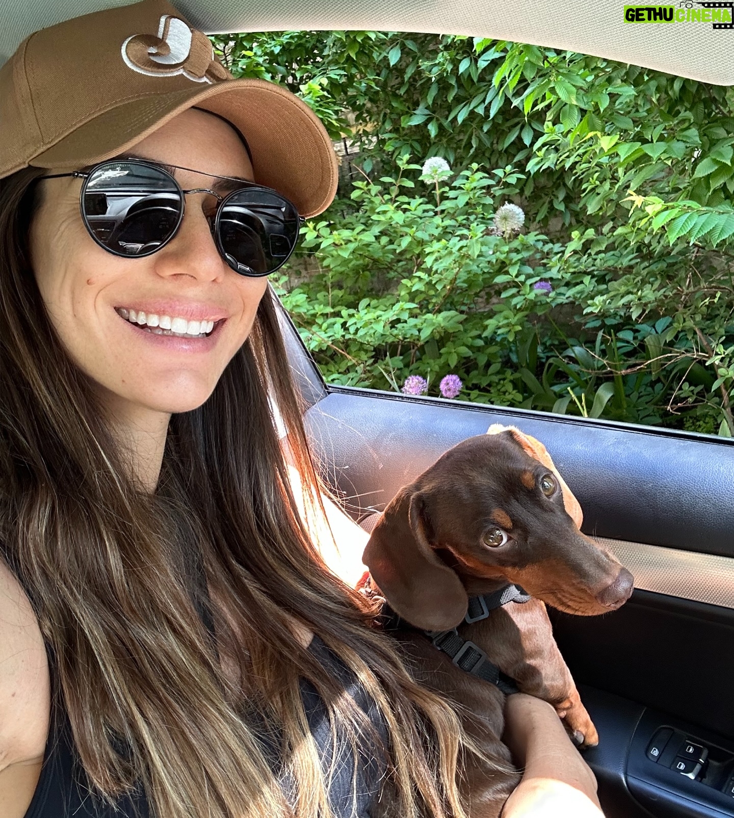 Valentine Thomas - 3.9K Likes - A beast yet a mama’s boy 🥰 Frogs, chipmunks, mouse, squirrels, snakes, birds, if it’s moving he’s going after it 😅 Sausage gotta pay rent ha! No animal were harmed in the making of these videos 😂 @teddythetravellingsausage @danielf86