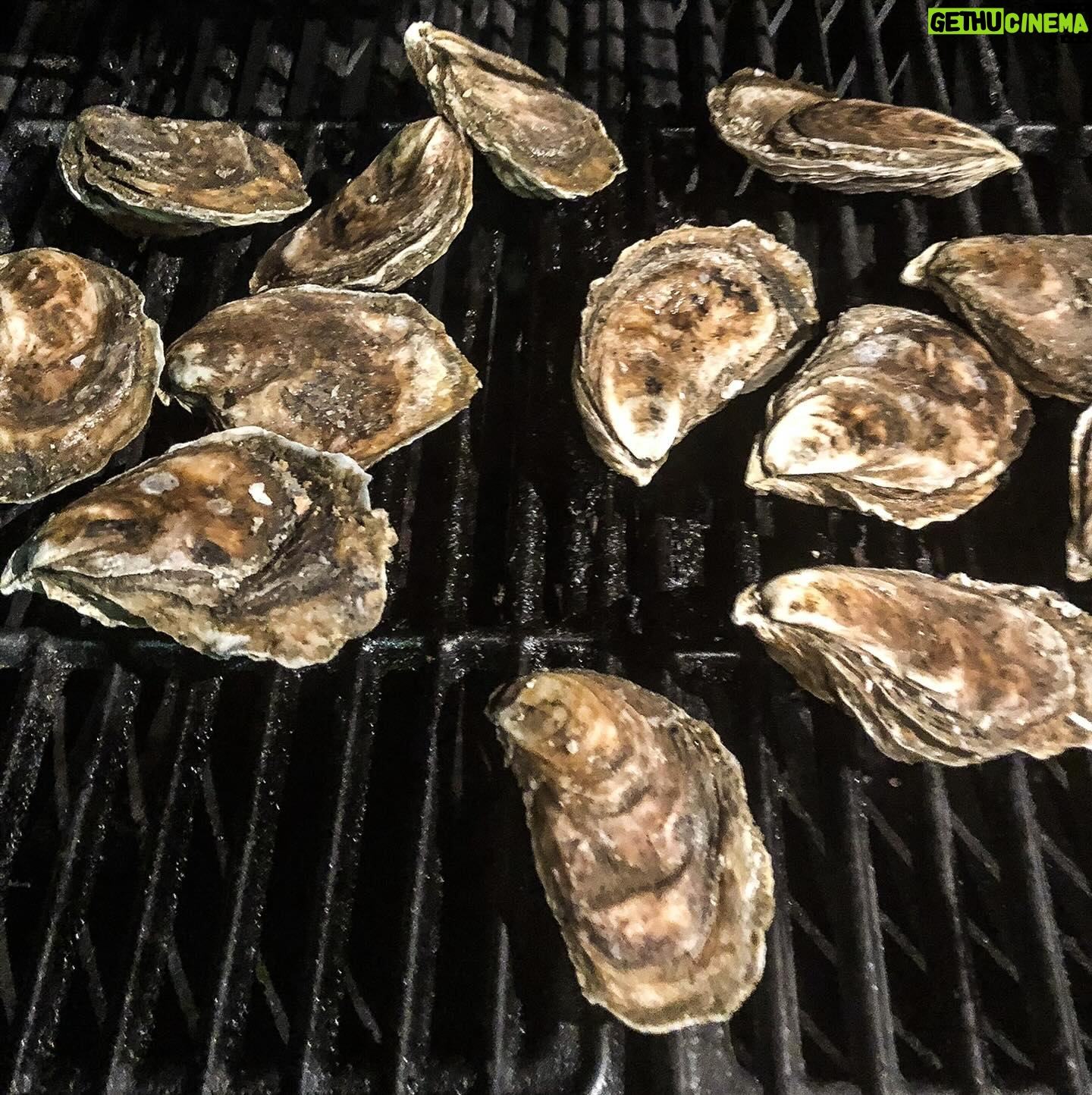 Valentine Thomas Instagram - Food 😍 1- happy place 2- oysters on the grill 3- amberjack crudo, pomegranate, fennel 4- grilled oysters, Asian mignonnette, my dirty fingers 5- hasselback potatoes, anchovy cream 6- Cured gag grouper, smoked crème fraîche, capers 7- Turkish eggs 8- Butter clams 9- scallops carpaccio, cayenne, honeydew, ginger