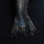 Valentine Thomas Instagram - IF YOU’VE BEEN LOOKING FOR A SIGN TO BUY THIS BOOK - THIS IS IT! If you’re great at cooking, this is for you, if you’re shit at cooking, this is also for you. From a technical section to learn how to use and prep fish and seafood, to world recipes and sustainability tips, you’ll have the ultimate fish bible in your hands. Oh and the photography is phenomenal (thanks to @andrewthomaslee )! Ha, not funny jokes aside, the first week of a book coming is really important so if you’ve been wanting to wait, please don’t hehe. If you don’t like it I’ll refund you (probably not).