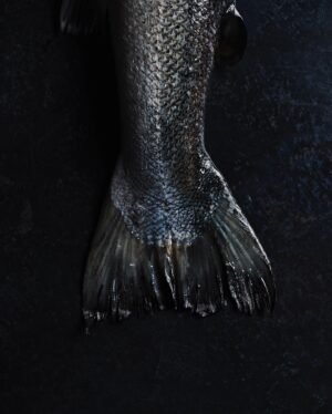 Valentine Thomas Instagram - IF YOU’VE BEEN LOOKING FOR A SIGN TO BUY THIS BOOK - THIS IS IT! 

If you’re great at cooking, this is for you, if you’re shit at cooking, this is also for you.  From a technical section to learn how to use and prep fish and seafood, to world recipes and sustainability tips, you’ll have the ultimate fish bible in your hands. Oh and the photography is phenomenal (thanks to @andrewthomaslee )! 

Ha, not funny jokes aside, the first week of a book coming is really important so if you’ve been wanting to wait, please don’t hehe. If you don’t like it I’ll refund you (probably not).