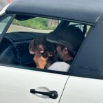 Valentine Thomas Instagram – Spring 💐 @danielf86 

1- Sister in town @frederiquethomas1 
2- Got hitched (on paper)
3- Hung out with cool peeps @charlottecardin 
4- It was time 🎶 
5- Car nerd date night 
6- 🐳 
7- 🦎 
8- “I don’t want another dog”
9- Good boi vibe
10- Weekends