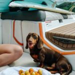 Valentine Thomas Instagram – Spring 💐 @danielf86 

1- Sister in town @frederiquethomas1 
2- Got hitched (on paper)
3- Hung out with cool peeps @charlottecardin 
4- It was time 🎶 
5- Car nerd date night 
6- 🐳 
7- 🦎 
8- “I don’t want another dog”
9- Good boi vibe
10- Weekends