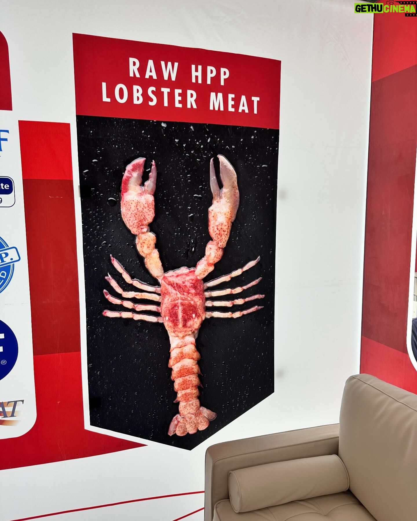 Valentine Thomas Instagram - Great time in Boston at the Seafood Expo with the @seafood4health team! On a panel, we revealed the FANTASTIC numbers of our very successful campaign with @heb to encourage Americans to eat more (sustainable) seafood (please add me on LinkedIn for more details). I got to hang out with old friends I missed very much @dennistheprescott @dry_aged_fish_guy and made new one with the @nbdeliciouslycanadian team @rachfromnb During the conference, I got to see first hand the innovations within the aquaculture and wild fisheries sectors and it was very heartwarming to see so many people dedicated to create a positive blue future. While there is still a lot of work to do, please know that there are thousands of impressive people out there working night and day to preserve our ressources and create new ones. I will be sharing a lot more on this topic as NOTHING will have a greater impact on ocean conservation than encouraging the people the right thing. Yes, way more than abstaining to eat or buy seafood. Let’s work together to give the power to the right people. And nothing is more powerful than your spending dollars (if you can afford a Starbucks latte, you can afford sustainable seafood).