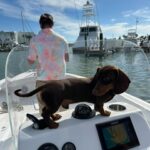 Valentine Thomas Instagram - If you ever owned or know someone you owned a Dachshund, you know they aren’t normal dogs. They think they are half Great Dane half human baby, they hunt like wolves, they cuddle like cats, they have enough endurance to run a marathon and they are down for anything (and want to be included in everything) and he fits in a backpack 😬 As I grew up around them, I knew what I was getting myself into (they are irrevocably little sh!ts, but I never thought I’d get such a sidekick in life. We do EVERYTHING together (@danielf86 takes the photos hehe). I cannot help myself to wonder how having a baby will affect our relationship and how he will develop his own with my baby. One thing is sure, I cannot wait to see them together! Tips and tricks are welcome!! Happy 1 year my little bear 🐻 🎈 @teddythetravellingsausage And thank you @betsyalvarezz for the most amazing dog I could ever dream of 😭🥹 12 pounds of pure love, sassiness, and full time entertainment.