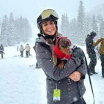 Valentine Thomas Instagram - If you ever owned or know someone you owned a Dachshund, you know they aren’t normal dogs. They think they are half Great Dane half human baby, they hunt like wolves, they cuddle like cats, they have enough endurance to run a marathon and they are down for anything (and want to be included in everything) and he fits in a backpack 😬 As I grew up around them, I knew what I was getting myself into (they are irrevocably little sh!ts, but I never thought I’d get such a sidekick in life. We do EVERYTHING together (@danielf86 takes the photos hehe). I cannot help myself to wonder how having a baby will affect our relationship and how he will develop his own with my baby. One thing is sure, I cannot wait to see them together! Tips and tricks are welcome!! Happy 1 year my little bear 🐻 🎈 @teddythetravellingsausage And thank you @betsyalvarezz for the most amazing dog I could ever dream of 😭🥹 12 pounds of pure love, sassiness, and full time entertainment.