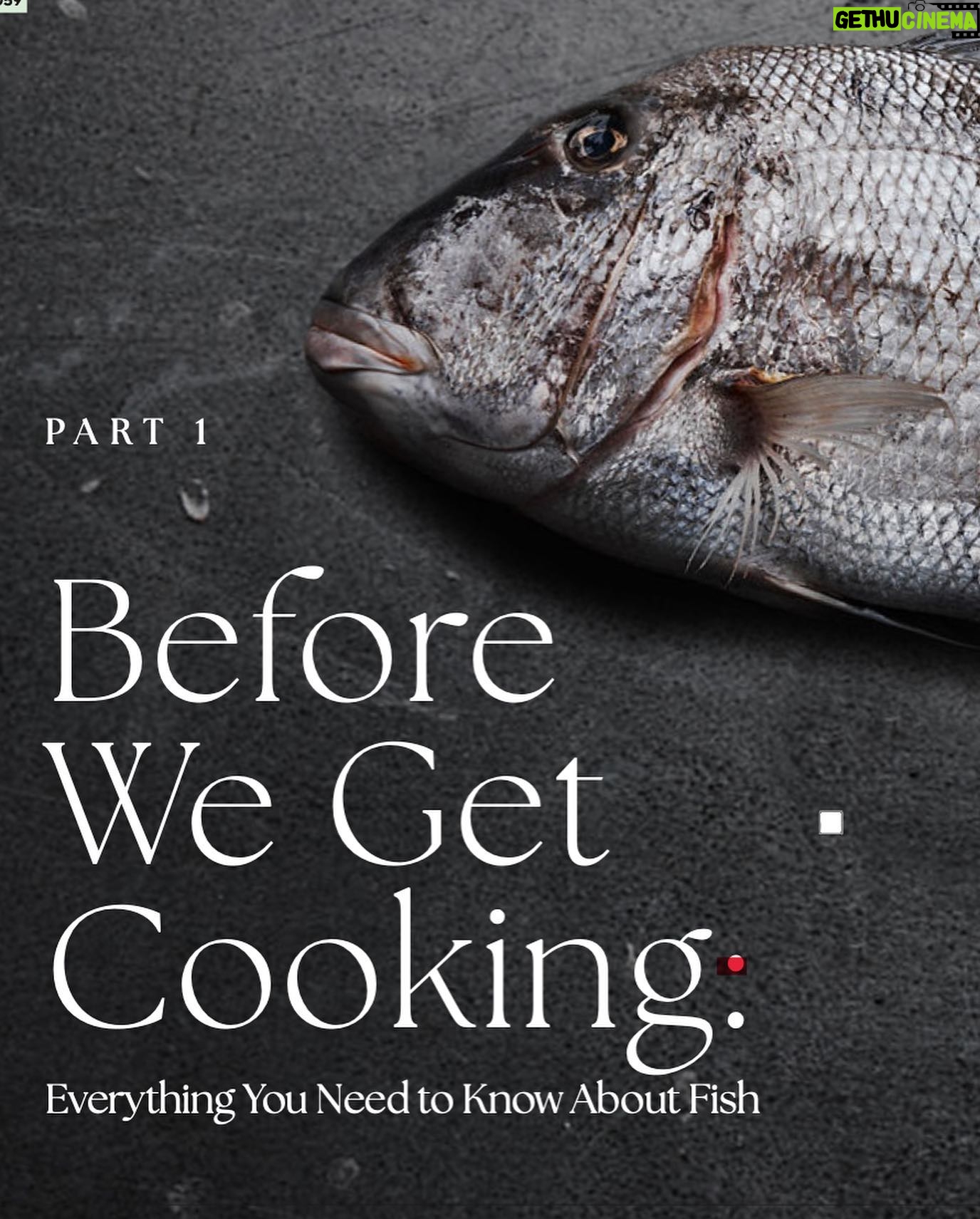 Valentine Thomas - 6.9K Likes - IF YOU’VE BEEN LOOKING FOR A SIGN TO BUY THIS BOOK - THIS IS IT!
If you’re great at cooking, this is for you, if you’re shit at cooking, this is also for you. From a technical section to learn how to use and prep fish and seafood, to world recipes and sustainability tips, you’ll have the ultimate fish bible in your hands. Oh and the photography is phenomenal (thanks to @andrewthomaslee )!
Ha, not funny jokes aside, the first week of a book coming is really important so if you’ve been wanting to wait, please don’t hehe. If you don’t like it I’ll refund you (probably not).