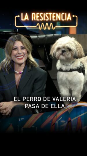Valeria Ros Instagram - El perro de @_valros pasa de ella. Está deseando que le abandone en una gasolinera. 

#laresistencia