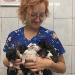 Valeriya Bukina Instagram - На днях я рассказывала о своей подруге, которая больше 10 лет спасает животных в Петрозаводске. Если пропустили эту историю, я сохранила её в вечных сторис в папке «Помощь клинике». Там есть вся подробная информация про эту трагедию. Я благодарю каждого, кто помогает восстановить клинику. А для тех, кто хочет, но не знает, как помочь, предлагаю помочь и клинике, и своему здоровью! С 7 марта я проведу благотворительный марафон, средства от которого направлю на восстановление клиники. Если вы хотите подготовить тело к лету - это лучшее время, чтобы начать. Тренировки будут разные, уровень подготовки неважен. Записывайтесь по ссылке в шапке профиля. Буду рада каждому! #спортивныймарафон #подготовимтелоклету #помощьживотнымпопавшимвбеду
