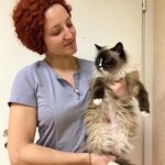 Valeriya Bukina Instagram - На днях я рассказывала о своей подруге, которая больше 10 лет спасает животных в Петрозаводске. Если пропустили эту историю, я сохранила её в вечных сторис в папке «Помощь клинике». Там есть вся подробная информация про эту трагедию. Я благодарю каждого, кто помогает восстановить клинику. А для тех, кто хочет, но не знает, как помочь, предлагаю помочь и клинике, и своему здоровью! С 7 марта я проведу благотворительный марафон, средства от которого направлю на восстановление клиники. Если вы хотите подготовить тело к лету - это лучшее время, чтобы начать. Тренировки будут разные, уровень подготовки неважен. Записывайтесь по ссылке в шапке профиля. Буду рада каждому! #спортивныймарафон #подготовимтелоклету #помощьживотнымпопавшимвбеду