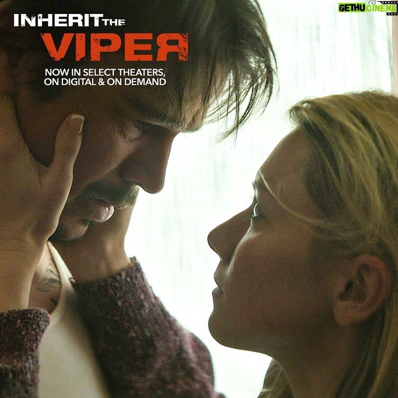 Valorie Curry - 2.9K Likes - Ok one more because this shot is epic (did I mention how good the cinematography in this film is??). Inherit the Viper will be available in select theatres and on demand January 10th! #inherittheviper