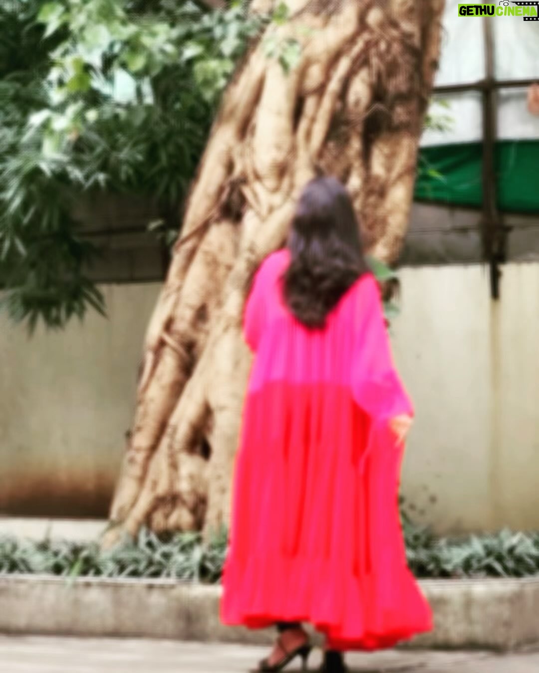 Vandana Lalwani Instagram - Spread your wings🪽 . . . Shrug @wabisabistyl ❤️ #photography #ootd #shrug #angel #pinkandred #style #fashion #trendyoutfits #vandanalalwani