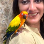 Vandana Lalwani Instagram - Celebrating International Dance Day with this cutiepie called ‘Chintu’ 🦜 Dance is a universal language after all (and he has his own playlist too 😂) #reelsindia #reelsinstagram #internationaldanceday #sunconure #birds #colorful #teribaatonmeinaisauljhajiya #bollywood #unidraa #vandanalalwani #chintu Wearing @unidraa