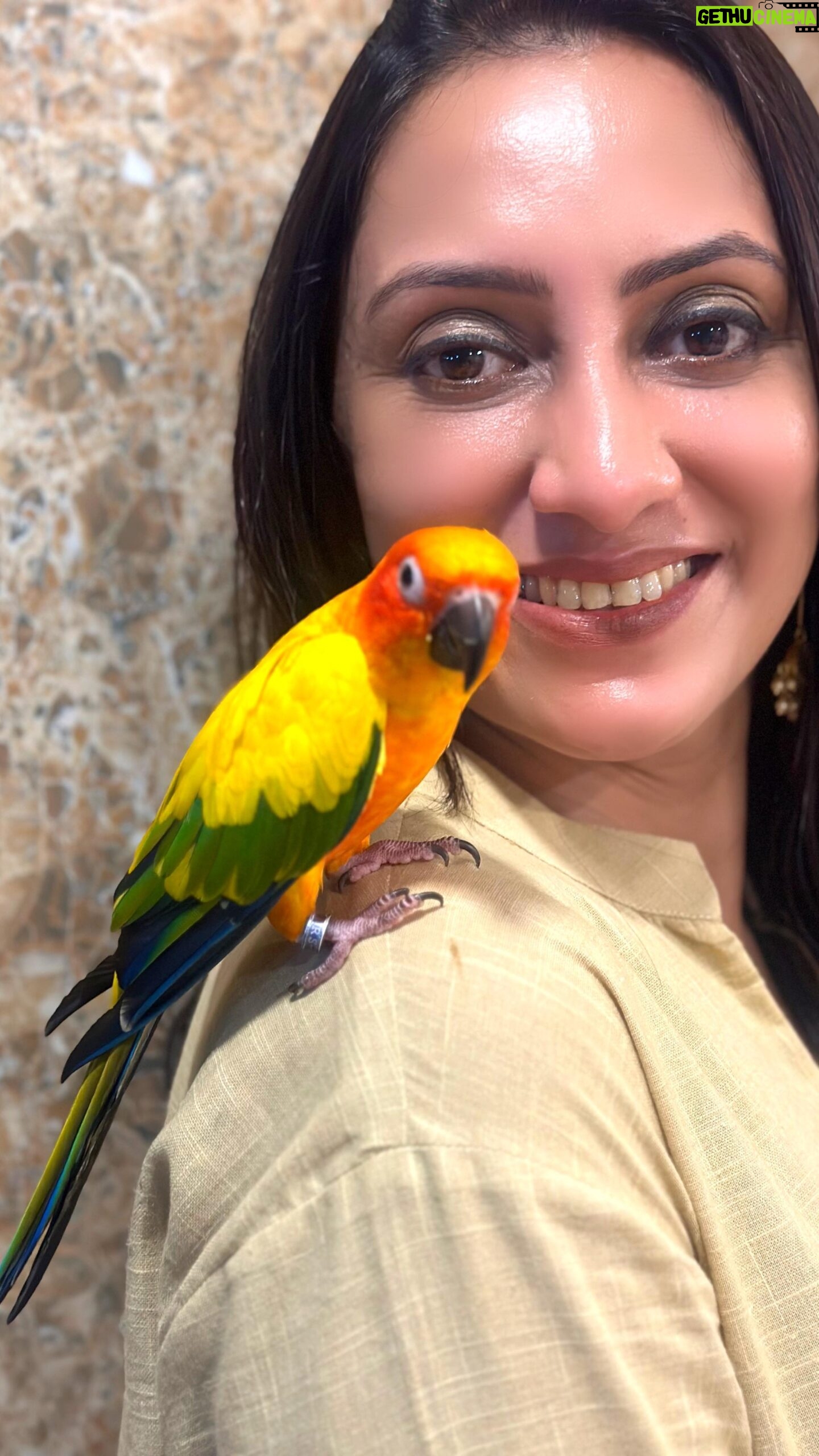 Vandana Lalwani Instagram - Celebrating International Dance Day with this cutiepie called ‘Chintu’ 🦜 Dance is a universal language after all (and he has his own playlist too 😂) #reelsindia #reelsinstagram #internationaldanceday #sunconure #birds #colorful #teribaatonmeinaisauljhajiya #bollywood #unidraa #vandanalalwani #chintu Wearing @unidraa