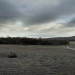 Vanesa González Instagram – el lado salvaje
de Juan Dickinson 
el primero de diciembre estrenamos esta peli que filmamos en el paraíso Ushuaia fuimos felices y comimos muchas peras con helado 

@osmar_nunez_ 
@eva.cbianco 
@pabloseijo_ok 
@lautarodelgadotymruk 
Jorge Sesán 
@souto.vero 
@mariana.v.cassia
@f.u.3.g.o
@panilaumakeup
@merlinamolinacastano
@cotypugliese_sfx
@bebo.tebo 
@kubeiko.fotografia
@fernando_musa