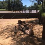 Vanesa González Instagram – ‘era tan hermoso allá arriba que me olvidé completamente del proyecto 
se me borró de la memoria’
(el corazón de un perro)
