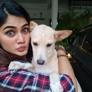 Vanessa Cruez Instagram - Meet Goldy.. She is a cross breed with Golden Retriever.. she has big paws and upwards ears.. and this baby is in need of a forever home.. anyone willing to take her as a member in your family do dm me.. She is 4 months and vaccinated.. Such a playful sweetheart..

#vanessacruez #vanessa #adoptdontshop #adopt #furkid #needahome #dogsofinstagram #goldenretriever #happiness #spreadlove #showthemlove #straykids #dogs #instapic #insta #instadaily #instamood #instafashion #instagood  #beyourself #lifeisgood #love #instaphoto #pose #spreadjoy #candid #playful #fun #sweet #upforadoption