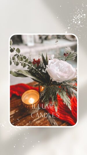 Vanessa Evigan Instagram - One of my favorite collaborations of the year…. teaming up with Illume Candle company to show you their beautiful candle vessels & how you can reuse them for floral arrangements and so much more ❤️🎅