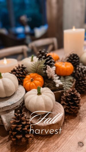 Vanessa Evigan Instagram - Getting to decorate our home with our very own pumpkins we planted and harvested! 🎃 fall has my heart 🍁

#fallcolors #fall #pumpkins