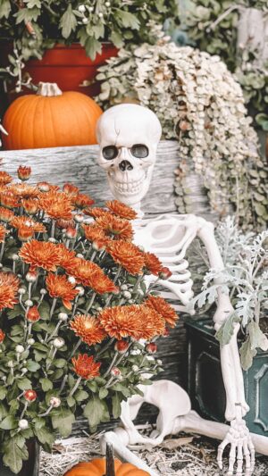 Vanessa Evigan Instagram - The more I put out, the more the kids love it. So I will be the tackiest mom neighbor on the block this year. This is just the beginning! Stay tuned. I’m not big on spooky But I do it for the kids. Then I can not WAIT for STRAIGHT UP FALL DECOR!