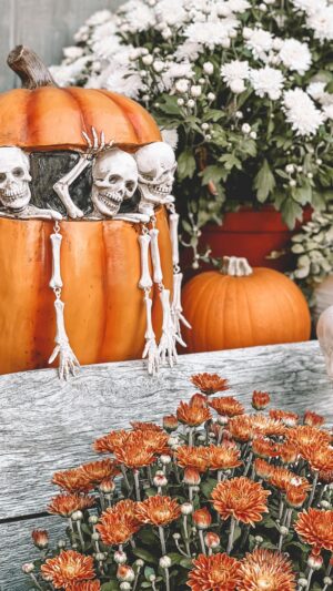 Vanessa Evigan Instagram - Anyone else struggle with spooky vs fall? Just over here trying to master the combination of fall with a touch of spook!