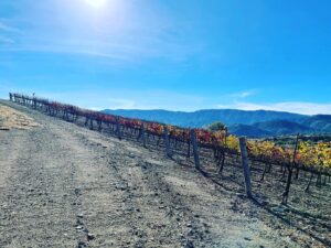 Vanessa Hessler Instagram - Nature and wilderness 🌾 thank you Santa Ynez