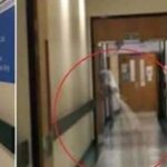 Vanessa Daroch Instagram - Los Hospitales, lugares cargados de entidades buscando entender porque jamás regresaron a sus hogares!