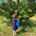 Vanessa Demouy Instagram - quel plaisir de pouvoir cueillir ( et un peu manger 😜) directement les fruits et les légumes chez nos producteurs locaux … un moment joyeux et gourmand vers Uzes chez #lejardindalix