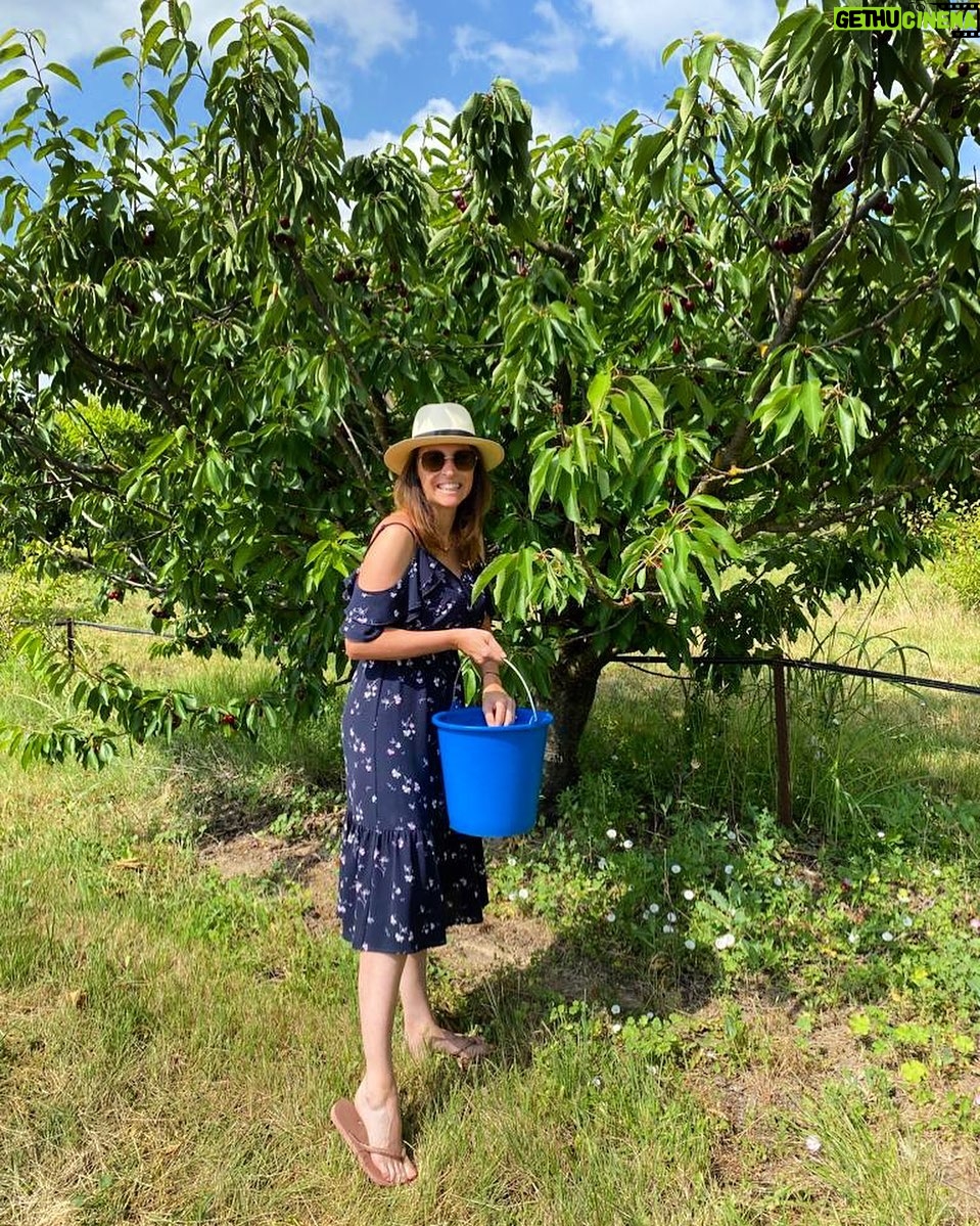 Vanessa Demouy Instagram - quel plaisir de pouvoir cueillir ( et un peu manger 😜) directement les fruits et les légumes chez nos producteurs locaux … un moment joyeux et gourmand vers Uzes chez #lejardindalix