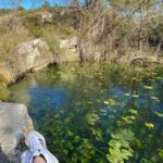 Vanessa Demouy Instagram - respirer … se poser … lâcher prise … essayer en tout cas … #nature #pleineconscience #magie