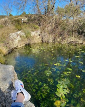 Vanessa Demouy Instagram - respirer … se poser … lâcher prise … essayer en tout cas … #nature #pleineconscience #magie