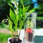 Vanessa Demouy Instagram - je vous souhaite un bon 1 er Mai !! parfumé et gourmand … #1ermai #douceur #familytime