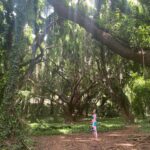 Vanessa Marano Instagram - Oh, hey tree. 🌳