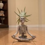 Vanessa Marano Instagram – Halloween 2021. Trader Joe’s Yoga Skeletons 💀 #halloween2021