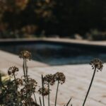 Vanessa Pilon Instagram - À quel point on a hâte de se replonger les pieds dans l’eau et vivre tous ces moments en famille! 🌞🥹 La piscine est devenue l’un de nos éléments préférés de la maison. C’était déjà le paradis, mais là, c’est à un autre niveau! ✨ En plus, nos amis chez @piscinesmova ont accepté de mettre au point, pour nous, une couleur sur mesure parfaite pour créer un effet plus naturel, qui se fond davantage avec l’environnement du Québec. Nous avons fait plusieurs tests pour trouver LA teinte. Et, bonne nouvelle: La couleur est maintenant disponible! (C’est la teinte « fond rocheux », si jamais vous vous demandez) 🪨 P.S. Il n’est pas trop tard pour enclencher un projet piscine, et être en mesure de se baigner cet été. Les piscines en fibre de verre ont l’avantage de s’installer en rapidement. J’dis ça j’dis rien! 🏊🏼 Photos: @sameravenelle #partenariat