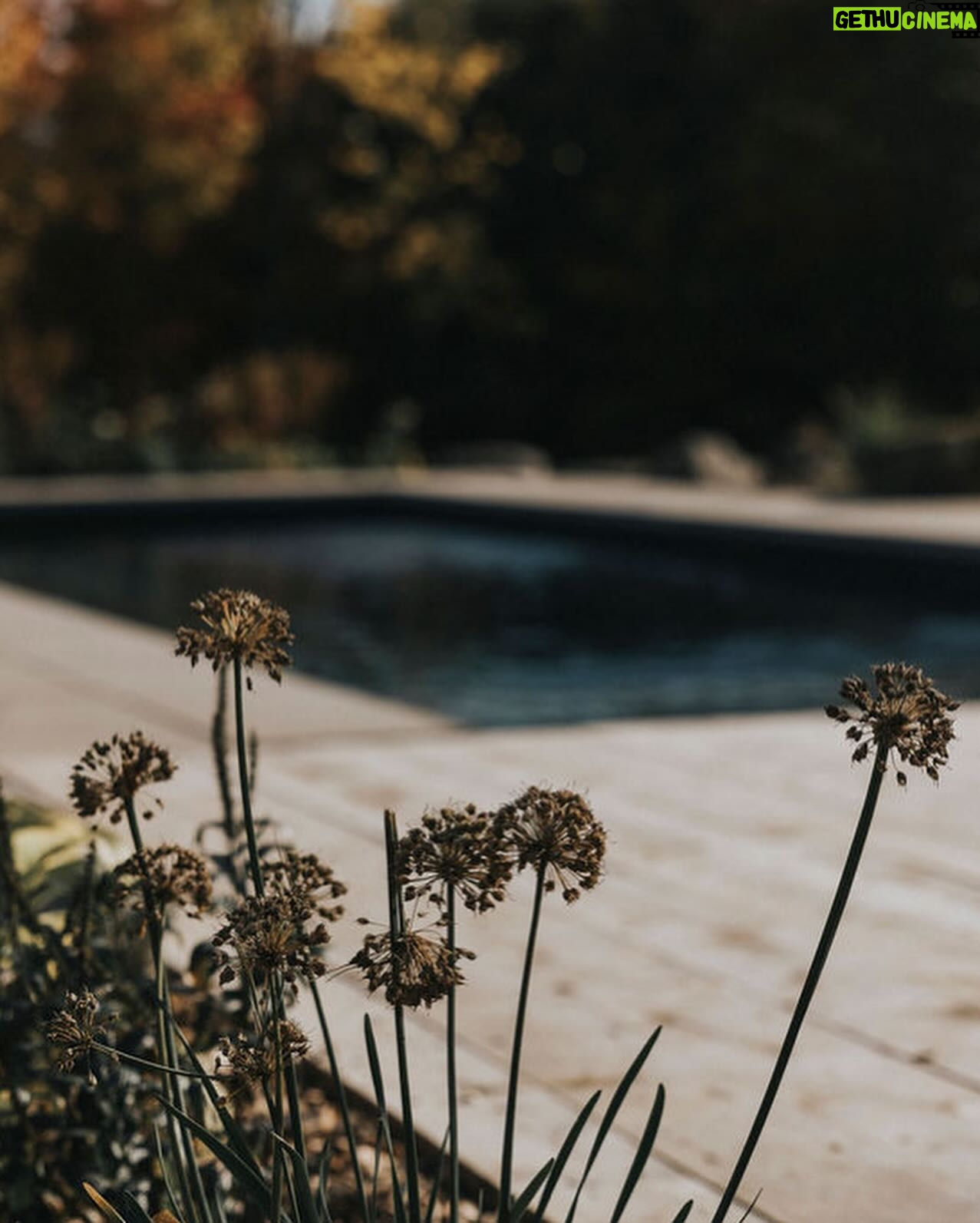 Vanessa Pilon Instagram - À quel point on a hâte de se replonger les pieds dans l’eau et vivre tous ces moments en famille! 🌞🥹 La piscine est devenue l’un de nos éléments préférés de la maison. C’était déjà le paradis, mais là, c’est à un autre niveau! ✨ En plus, nos amis chez @piscinesmova ont accepté de mettre au point, pour nous, une couleur sur mesure parfaite pour créer un effet plus naturel, qui se fond davantage avec l’environnement du Québec. Nous avons fait plusieurs tests pour trouver LA teinte. Et, bonne nouvelle: La couleur est maintenant disponible! (C’est la teinte « fond rocheux », si jamais vous vous demandez) 🪨 P.S. Il n’est pas trop tard pour enclencher un projet piscine, et être en mesure de se baigner cet été. Les piscines en fibre de verre ont l’avantage de s’installer en rapidement. J’dis ça j’dis rien! 🏊🏼 Photos: @sameravenelle #partenariat