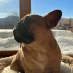 Vanessa Pilon Instagram - À l’aiiiiiide! Pourquoi faire une recherche G00GLE quand tu peux faire un reel de désespoir? D’après vous, que faire?