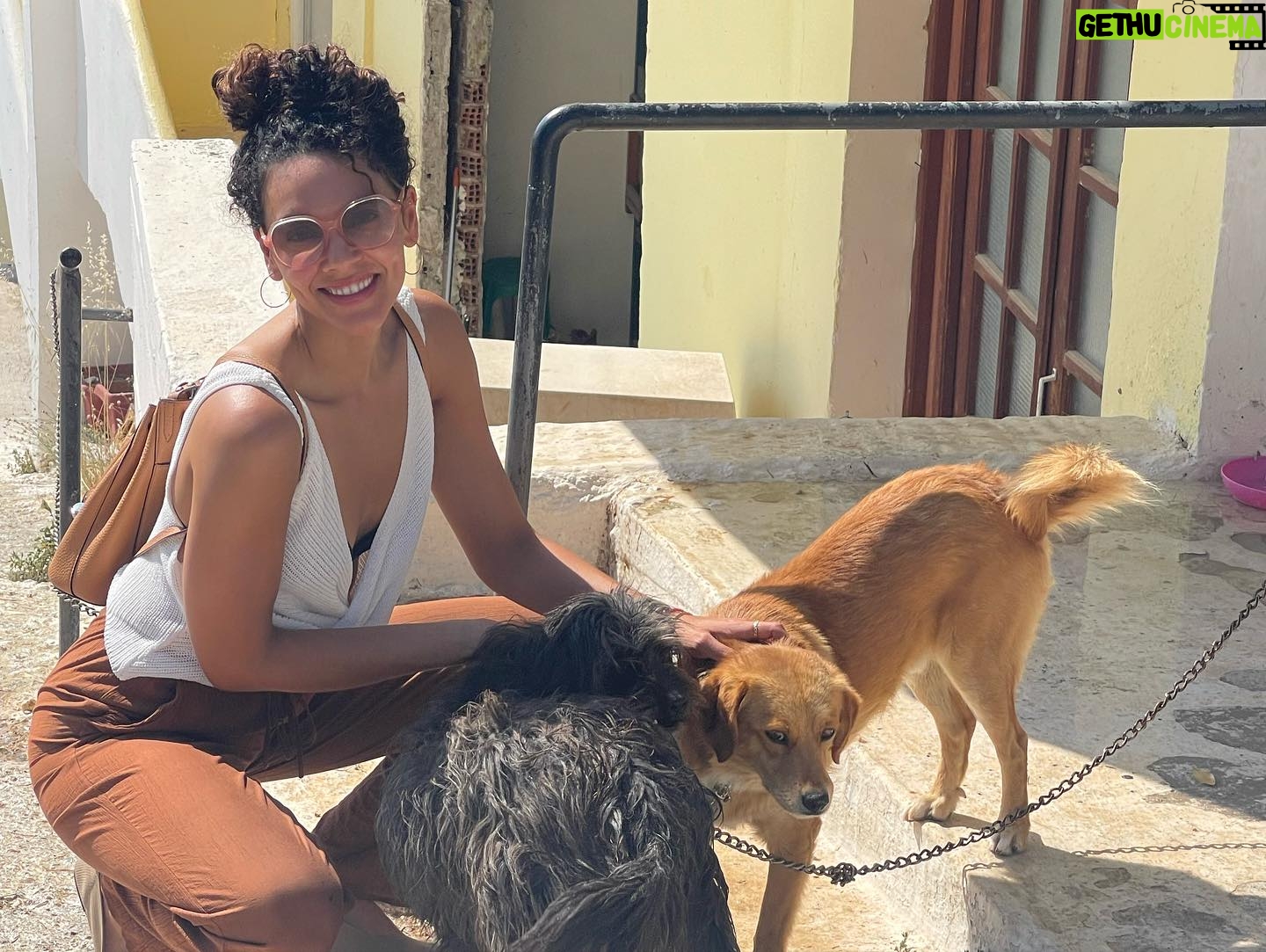 Vanessa Rubio Instagram - Must love dogs. Finding Dog Medicine outside a church in Crete, Greece earlier this year and in Kopan Monastery in Nepal.