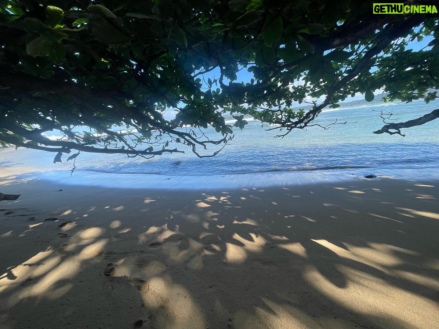 Vanessa Rubio Instagram - The first days of December I was in the beautiful and magical island of KUAUI 🤍 taking road-trip up the northern coast was the best way to ring in my birthday of 2023. For me this was of continued healing and renewal. Collecting parts of myself, embarking on a beautiful soul renewal journey that led me from Greece to Nepal to Bali and to Hawaii ✨🩵✨the heart continually comes home in the present moment 🎁