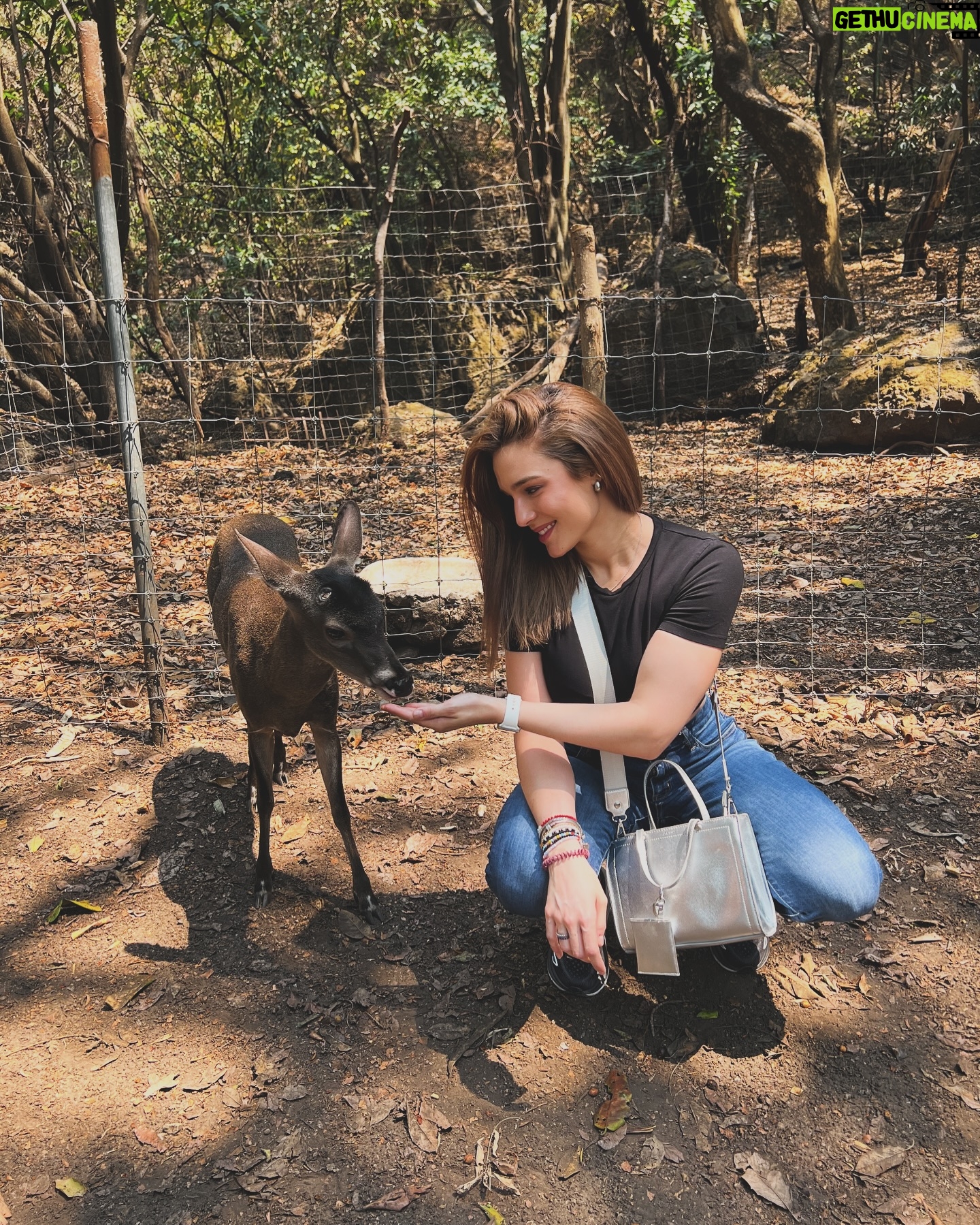 Vanessa Silva Sperka Instagram - Conociendo #tepoztlan 馃┓馃グ me encant贸!!! #turismo