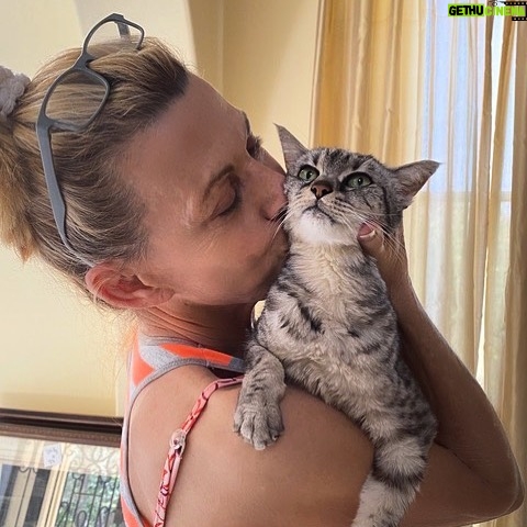 Vanna White - 8.3K Likes - My sweet Stella has gone to kitty heaven. I miss her so much and will cherish the special memories of the 16 years we had together.