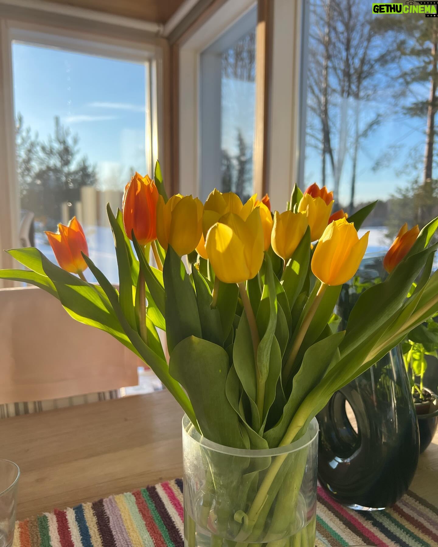 Vappu Pimiä Instagram - Ihana mökkiviikonloppu ystävien kanssa! Kiitos rakkaat @susavalvio @juhavalvio jälleen seurasta ja jutuista, joista ei koskaan naurua puutu!❤️❤️🙏🙏Pääsin tänään myös testaamaan tyttöjen rakentaman majan makuuhuoneen, oli tosi hyvin ilmastoitu ja rauhallinen😅🥰😍👌#mökkilife #visitsalo #friendsandfamily
