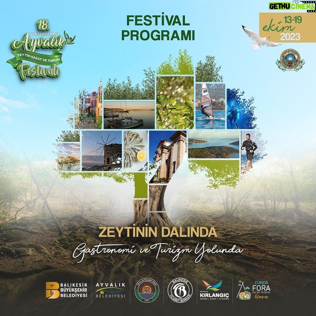 Veda Yurtsever Instagram - Güzel Ayvalık güzel bir festivale ev sahipliği yapıyor, bu güzelliğe katılmaz mısınız;)) #zeytinindalında #gastronomiveturizmyolunda