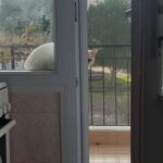 Veda Yurtsever Instagram - Bu vicdan azabı kız arkadaş , Van Kedisi, balkondan ayrılmıyor, nerdeyse içeri alalım diye yalvarıyor. Belli ki bi evden atılmış, dokunduğun anda traktör sesi kuvvetinde gırlıyor, sevgi dolu, bence biri onu sahiplenir aranızda, hı di mi?