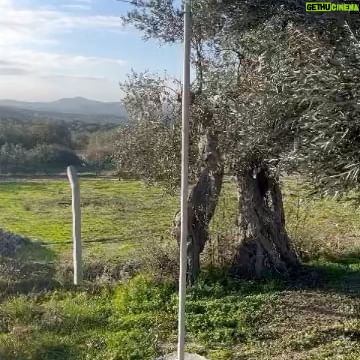 Veda Yurtsever Instagram - Bir fincanın bile bu kadar meşakkatli bir yoldan geçtiğini düşünemezdim. Sevgili @senizkasarcioglu ve @okanovck ‘ın anlatımıyla çamurun zerafetle el işçiliğine nasıl yanıt verdiğini ve bir hafızası olduğunu öğrendim.Onlarca işlemden geçip evimize giren fincanlara daha saygılı davranacağıma yemin bile etmiş olabilirim😻 @monteporcelain ‘in sayfasına bi göz atın bence…🧿😻
